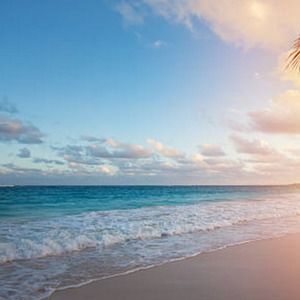 Meet your Posher, Sophia